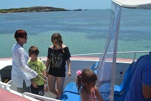 boat on dolphin encounter