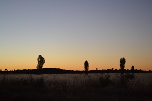 Outback at night