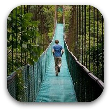 tree bridge costa rica