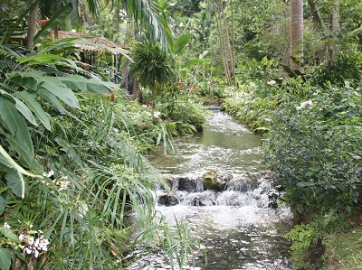Ocho Rios Attraction-Coyoba Gardens