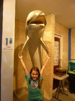 Inside the Dolphin Museum in Bunbury