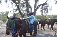 getting on a horse