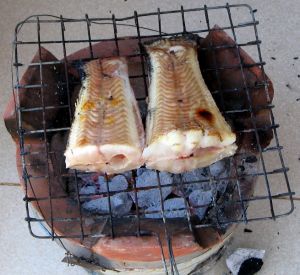 grill fish