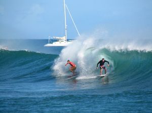 surfers in hawai