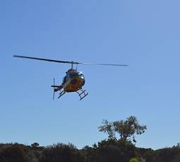 helicopter rides over the canyo