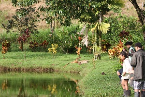 Linda Vista farm