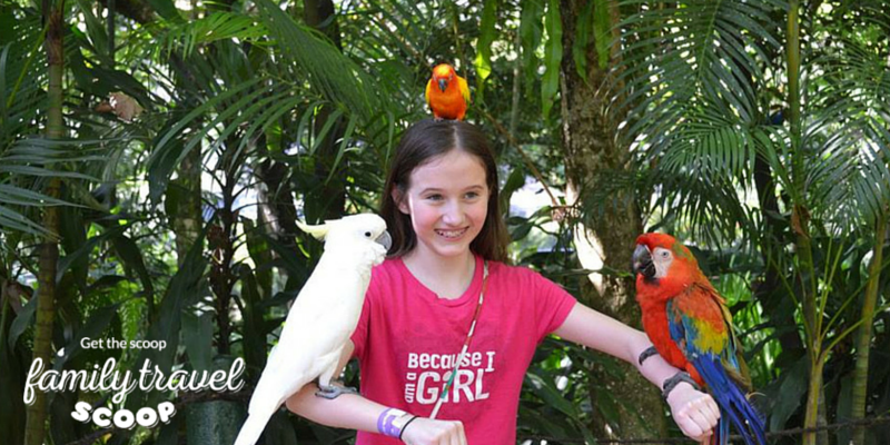 Girl in bird park in Kuala Lumpur