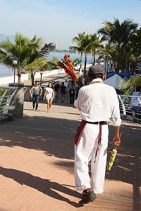 Shrimp vendor on the Malecon in PV