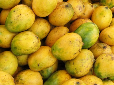 mangoes