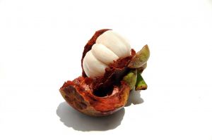 mangosteen