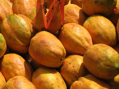 mangoes