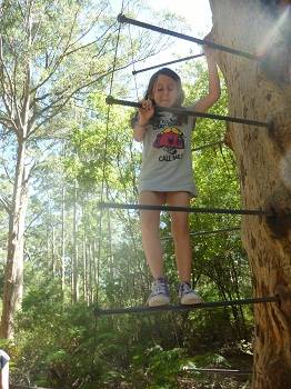 young girl climbing the Gloucester tree in Pemberton