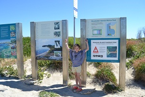 boarding strip for dolphin encounter