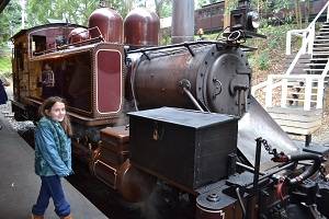 puffing billy train