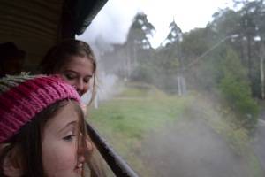 looking out the window on the puffing billy