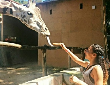 feeding the giraffe at the Puerto Vallarta zoo