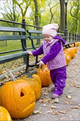 a toddler in central park playing with pumpkins