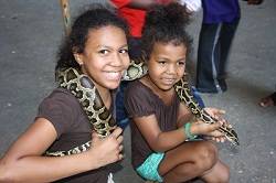 kis at snake temple inpenang