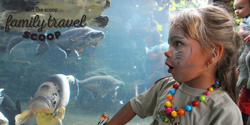 child at the aquarium