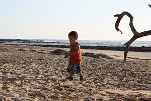 toddler on the beach