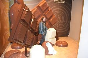 chocolate photo room