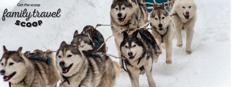 dogsledding in hokkaido