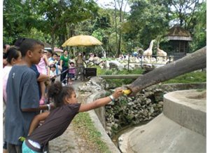 elephant zoo in kl