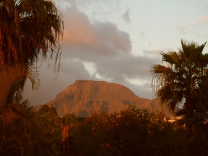 eltiede