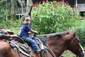 horse riding costa rica toddler