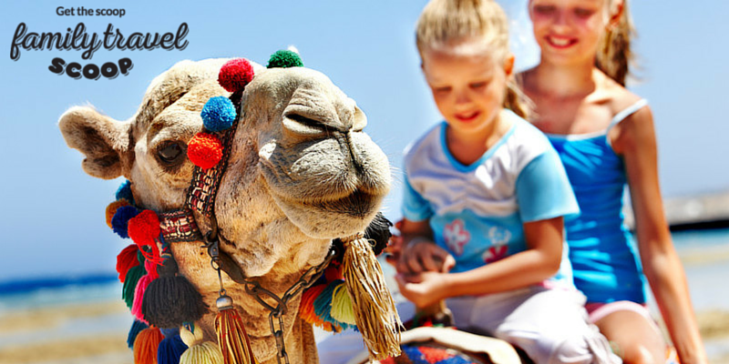 Kids riding camel in Egypt