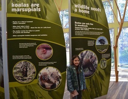 sign at koala park on phillip island