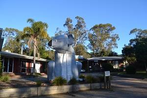 koala at koala park resort