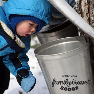 toddler at maple syrup farm