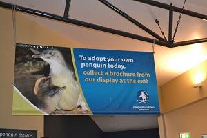 sign at penguin parade