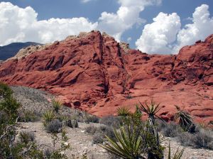 red rock canyon