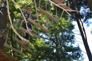 log walk treetop